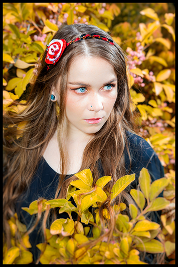 headband alice au pays des merveilles