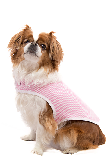manteau pour chien Made in France en vichy rose Brigitte Bardot