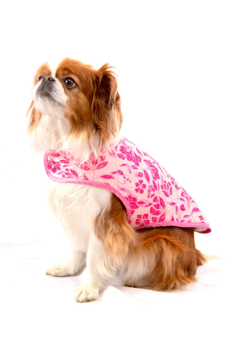 manteau pour chien en brocart rose Made in France Belle au Bois dormant