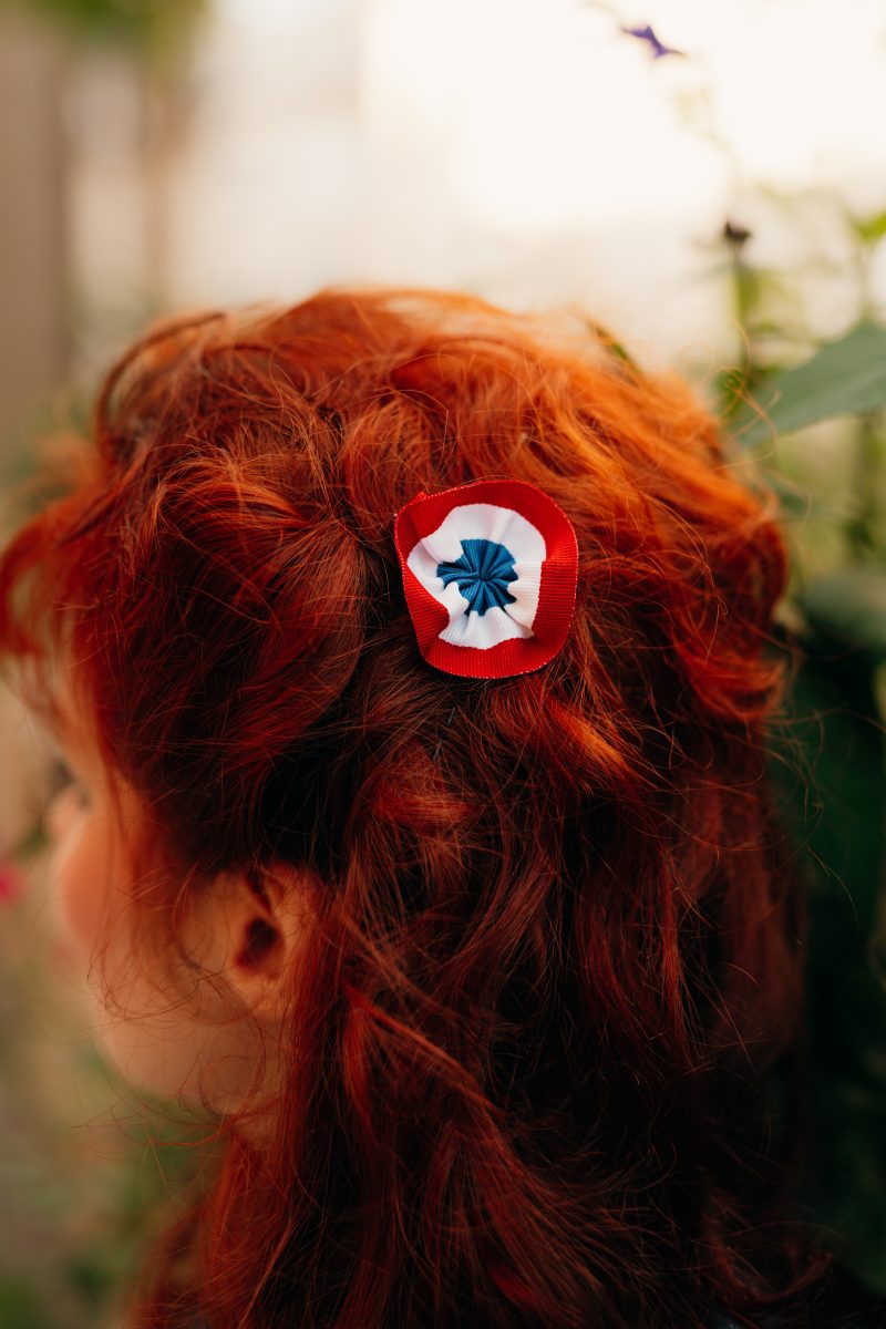 pince pour cheveux cocarde made in france