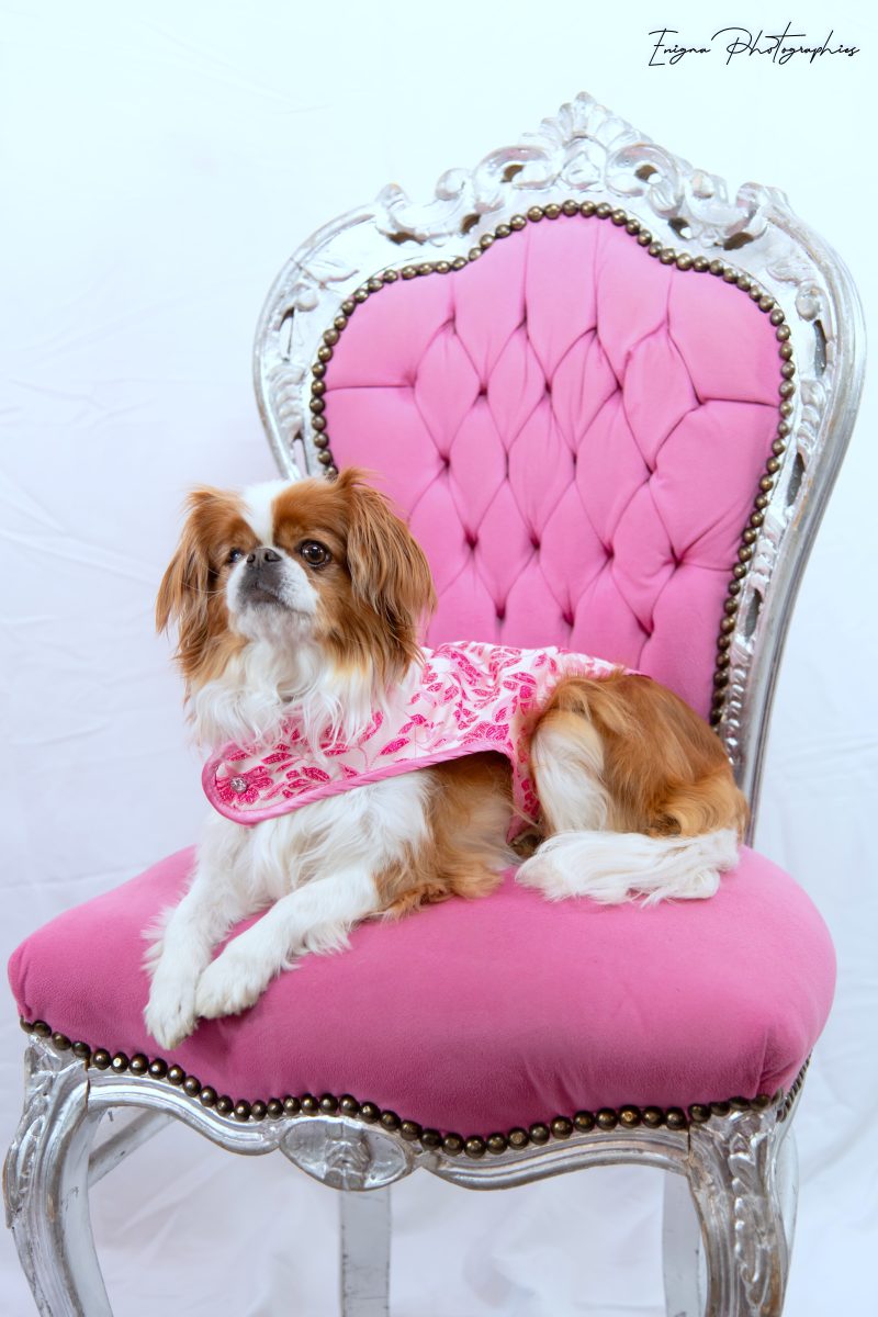 Manteaux pour chiens Made in France