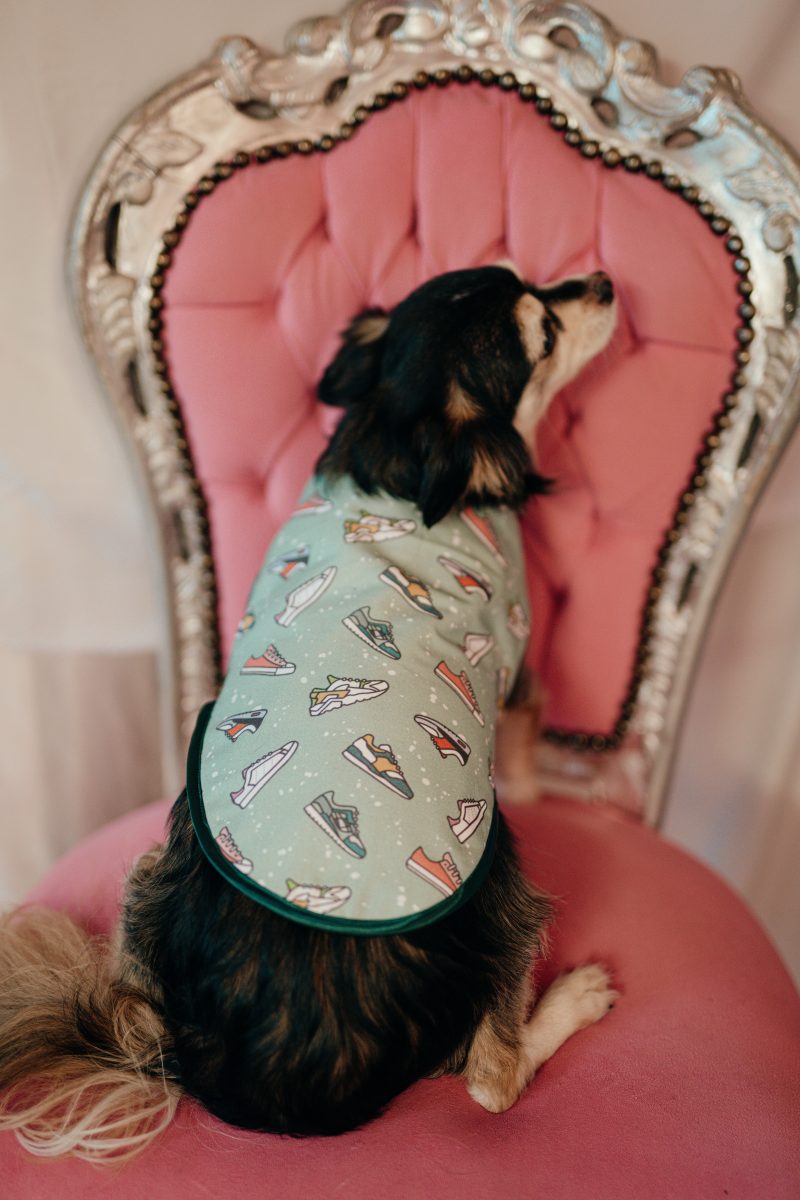 manteau pour chien Made in France vert clair à imprimé baskets