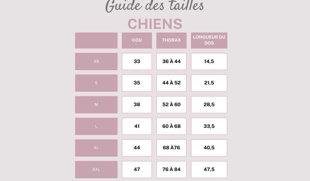 guide des tailles chiens