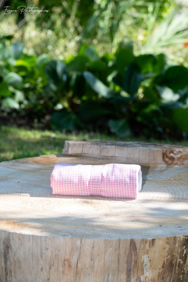 essuie-pattes vichy rose made in france