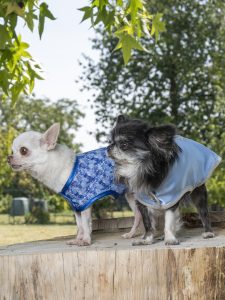 manteau pour chien flocons de neige made in france