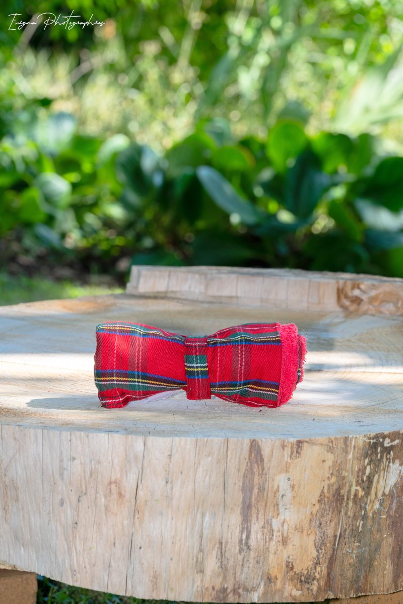 essuie-pattes rouge tartan made in france