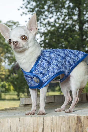 manteau pour chien flocons de neige made in france