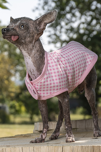 manteau pour chien en vichy rose made in france