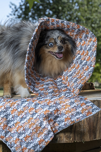 Collerette post-opératoire chien "Câlin Intempestif" motif Shiba Inu, coton rembourré, alternative confortable cône élisabéthain, fait main en France.