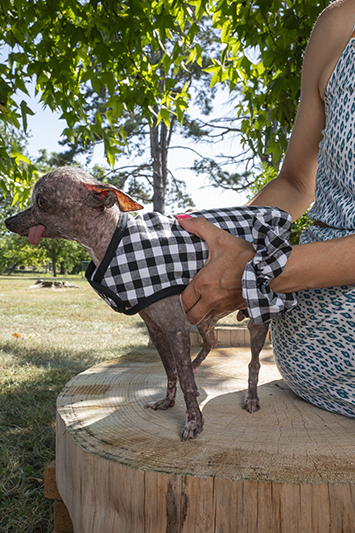 Manteau pour chien Made in France vichy noir et blanc