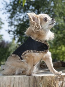 manteau pour chien made in France léopard