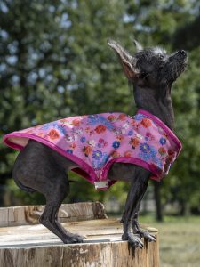 manteau pour chien made in france rose fleurs