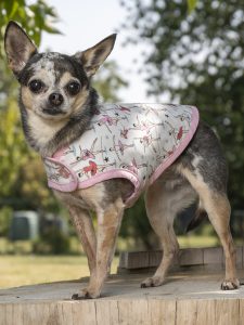 manteau pour chien made in france imprimé danseuses