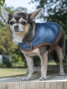 manteau pour chien en jean made in france