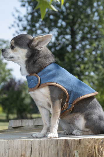 manteau pour chien made in france en jean bleu uni