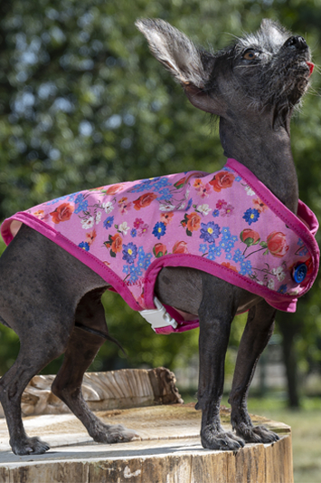 manteau pour chien coton rose fleuri made in france